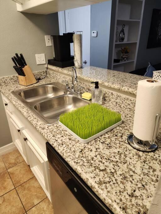 Blue Shark *E4* @ Midtown Comfortable 1Br King Apartment Houston Exterior foto